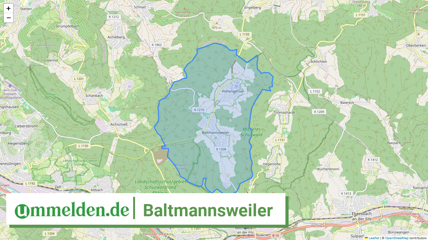 081165007007 Baltmannsweiler