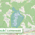 081165007037 Lichtenwald