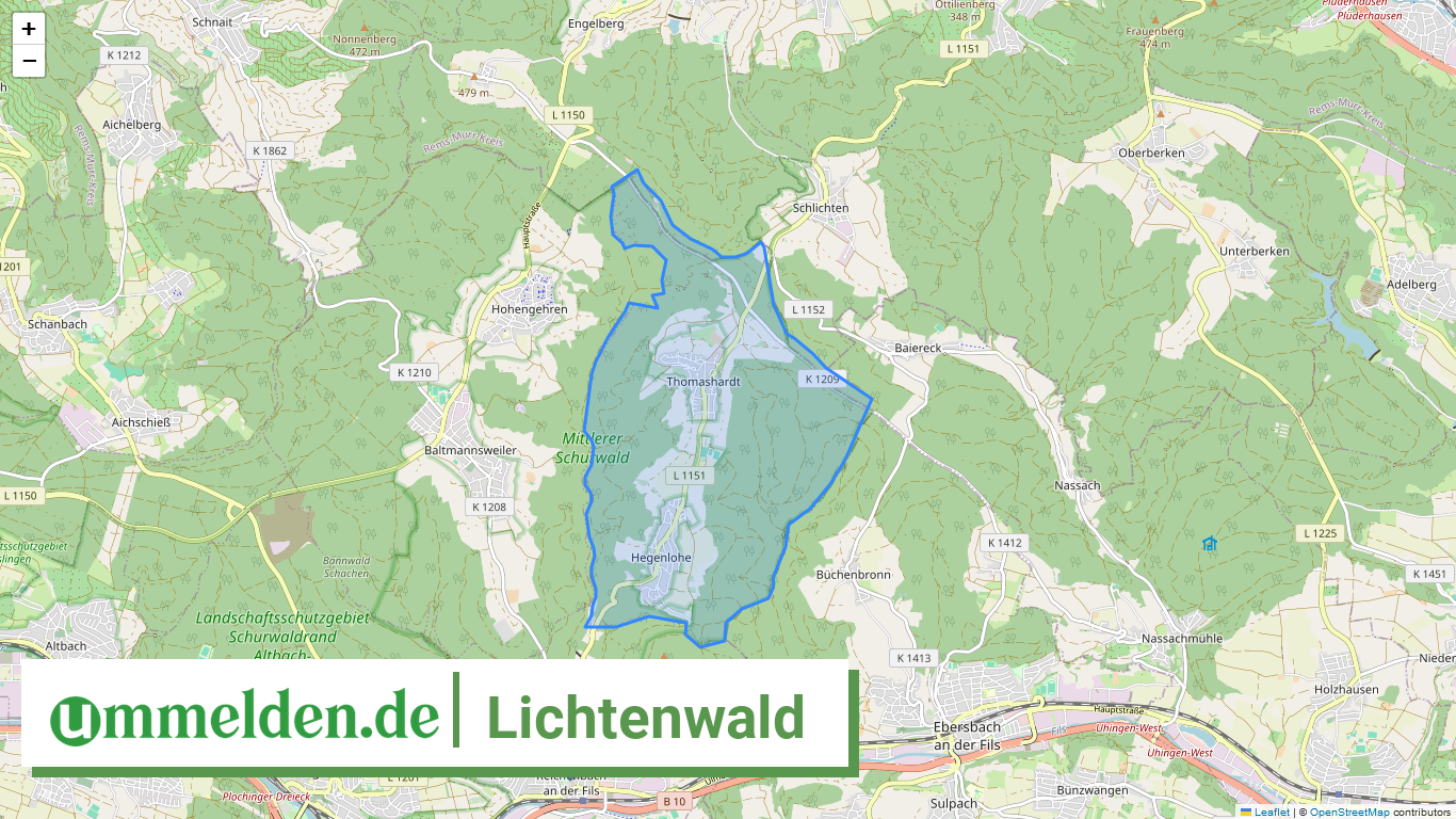 081165007037 Lichtenwald