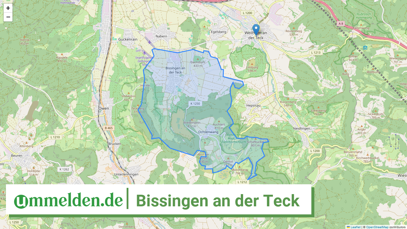 081165008012 Bissingen an der Teck