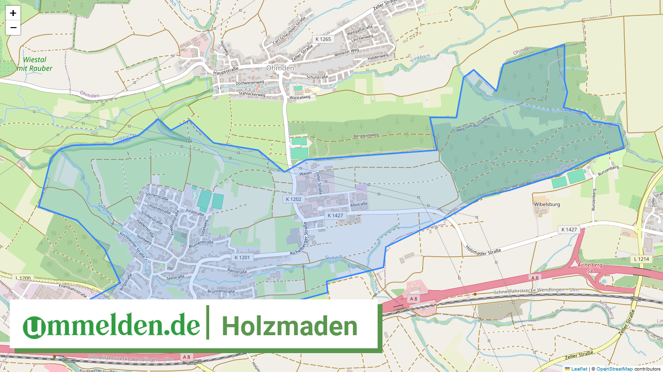 081165008029 Holzmaden