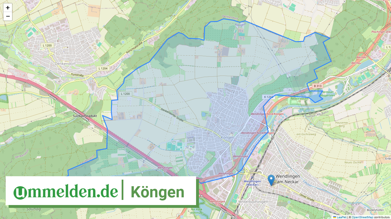 081165009035 Koengen