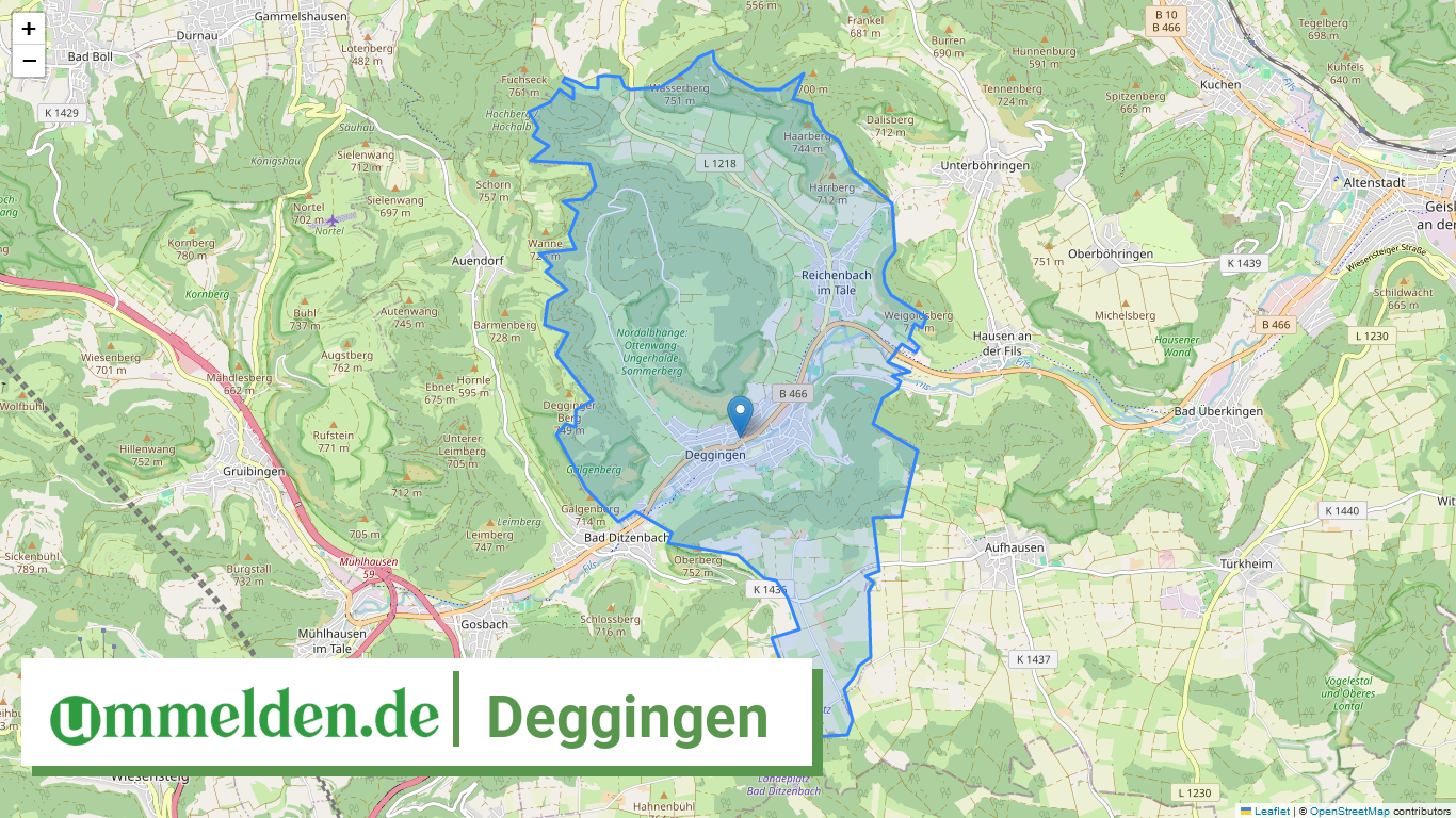 081175001014 Deggingen