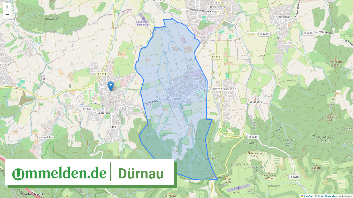 081175009017 Duernau