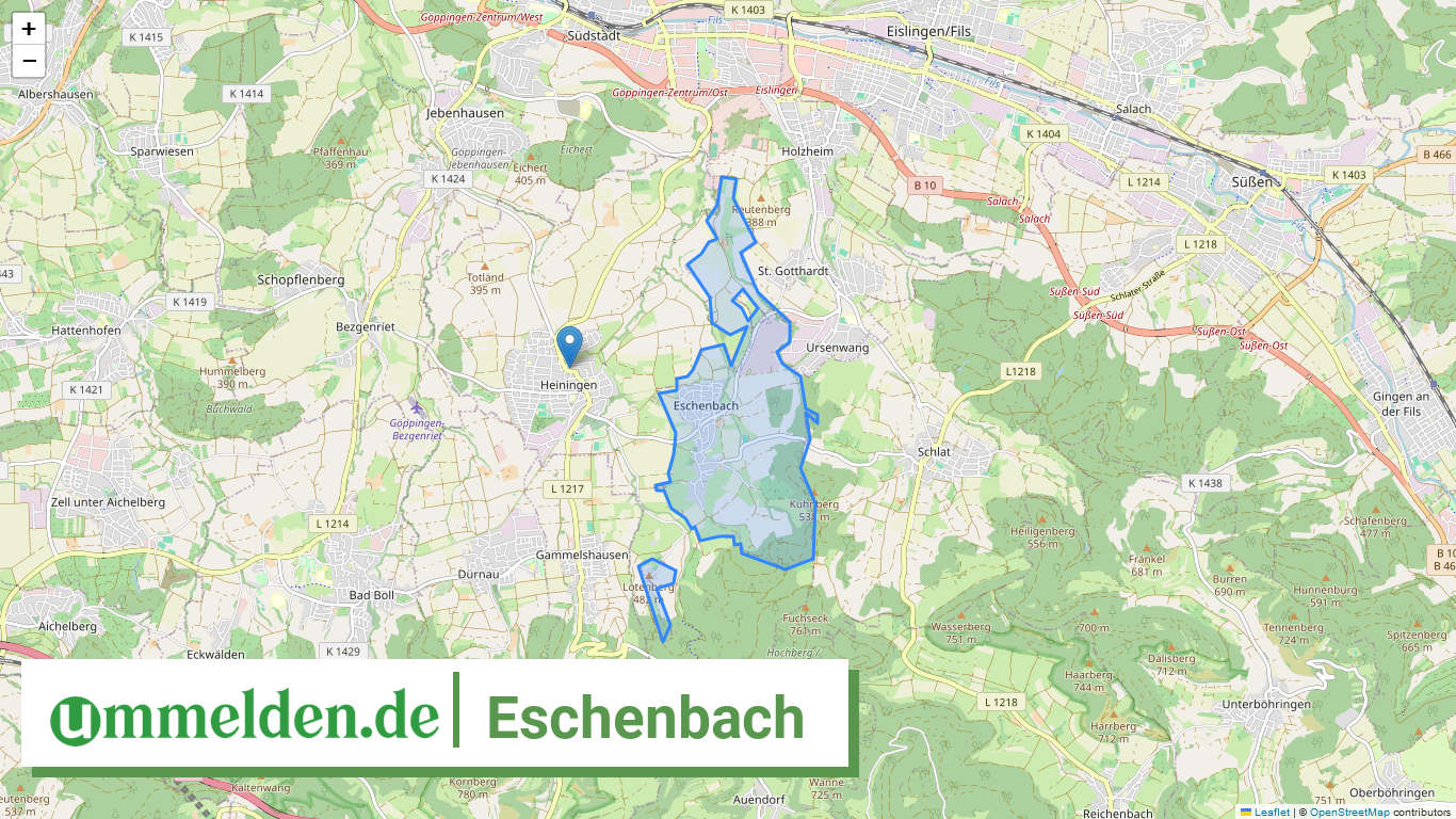 081175011020 Eschenbach