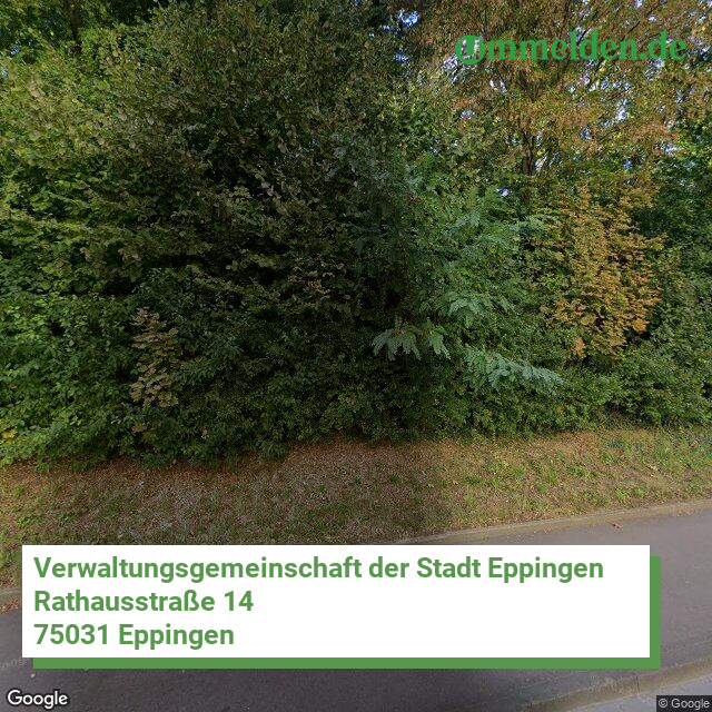 081255004 streetview amt Verwaltungsgemeinschaft der Stadt Eppingen