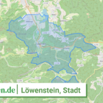 081255011059 Loewenstein Stadt