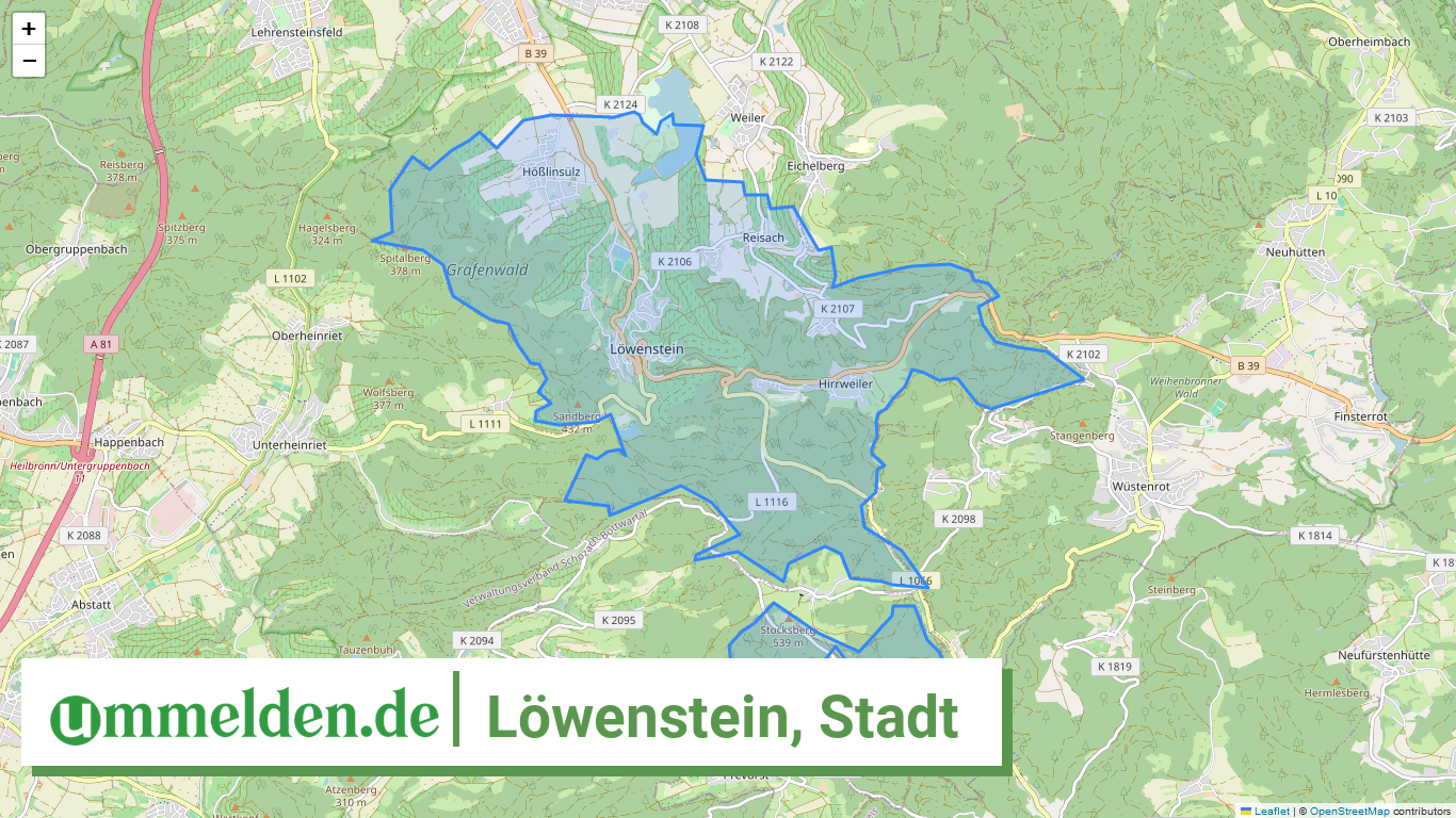081255011059 Loewenstein Stadt