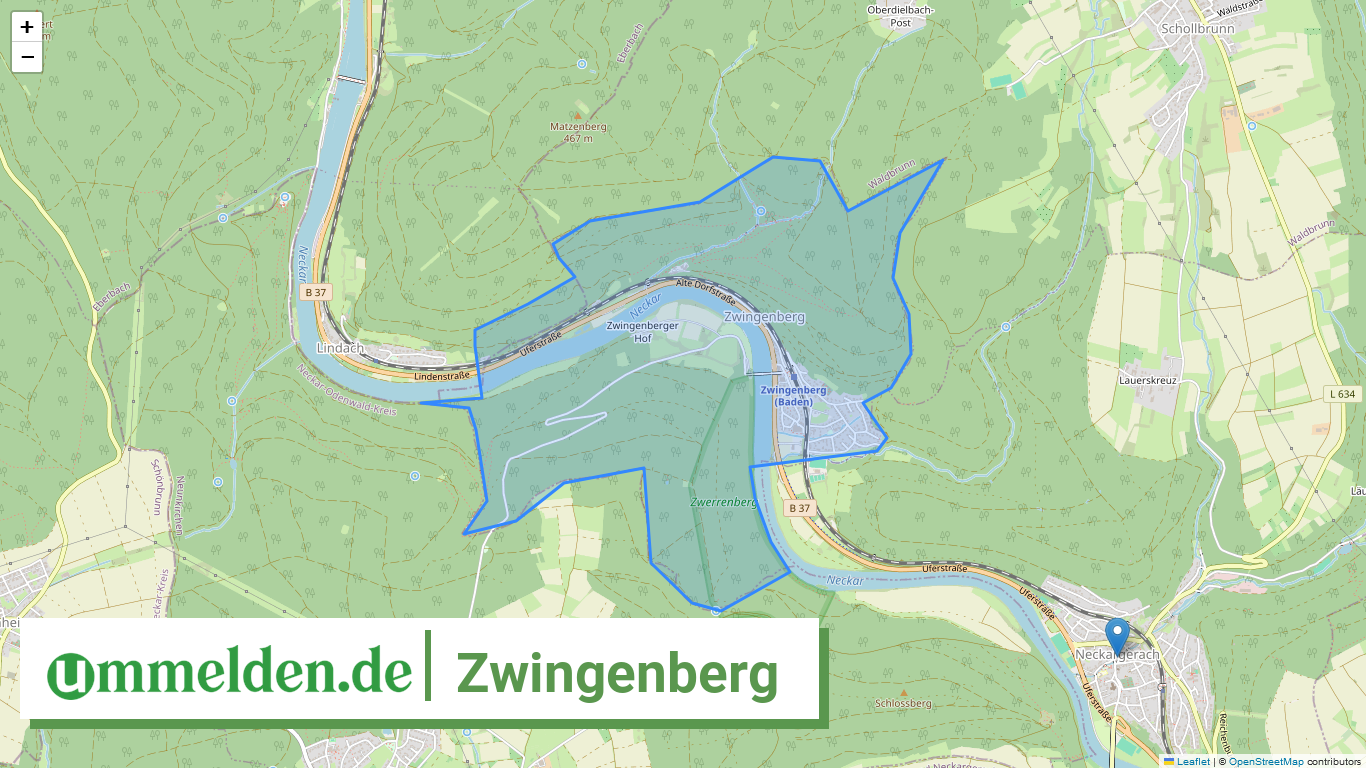 082255006113 Zwingenberg