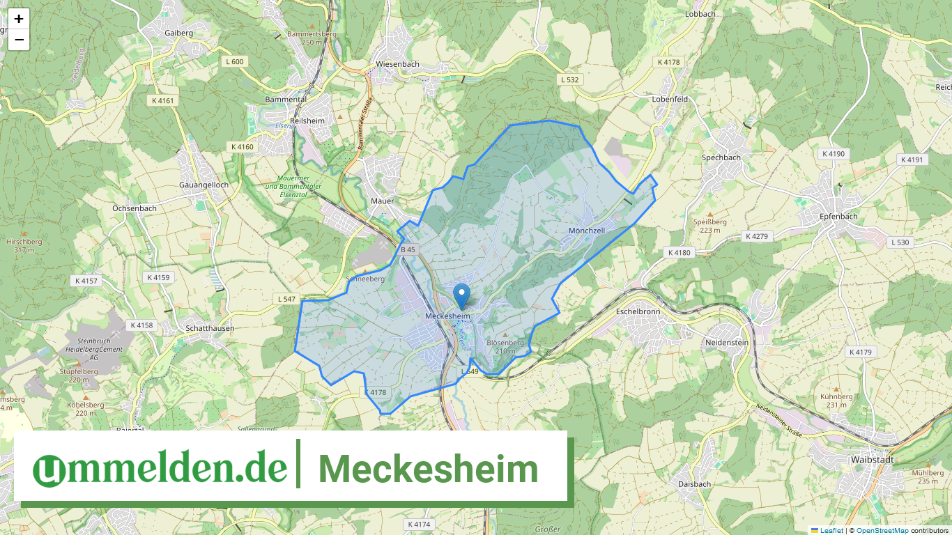 082265002049 Meckesheim
