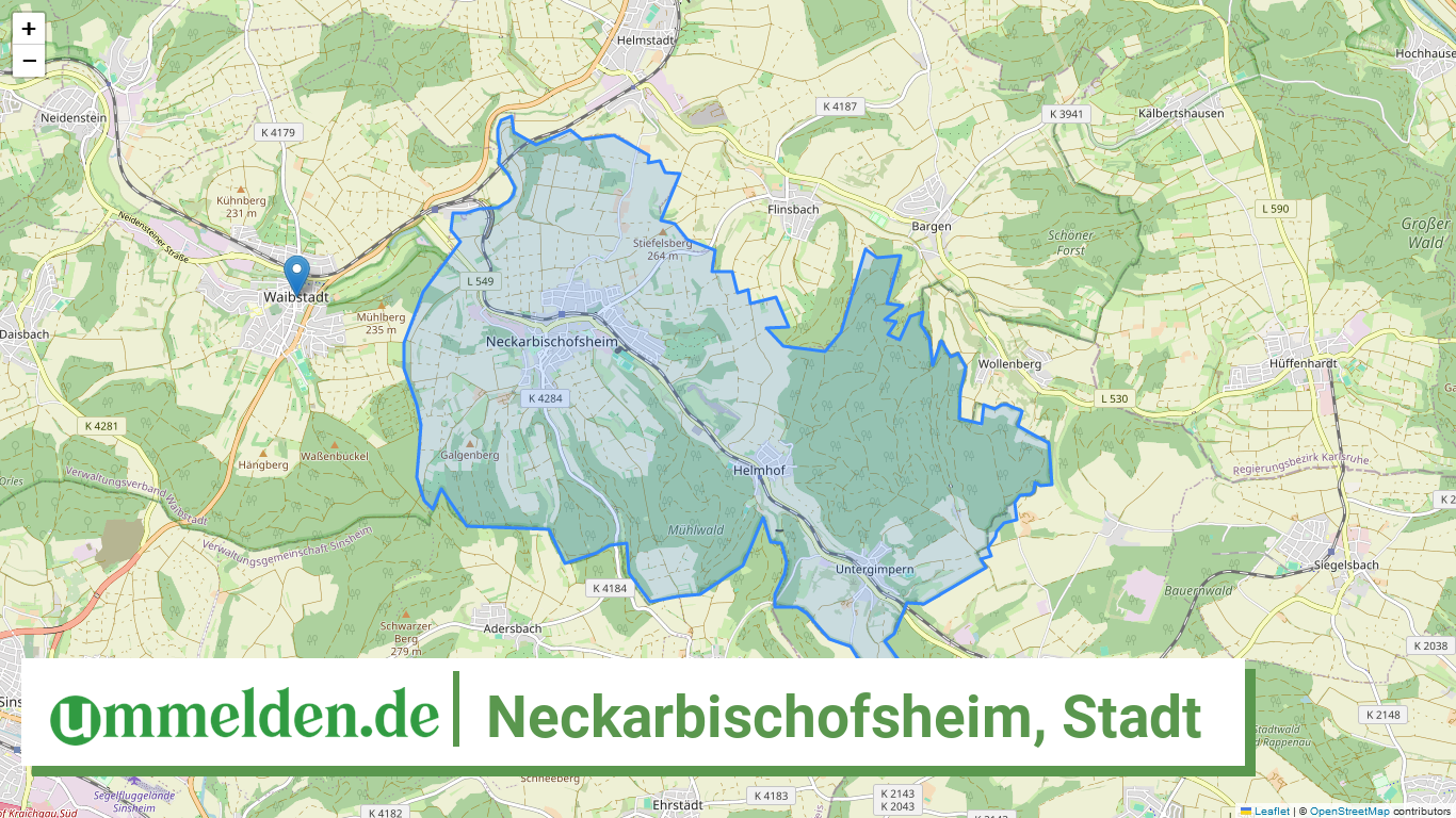 082265009055 Neckarbischofsheim Stadt