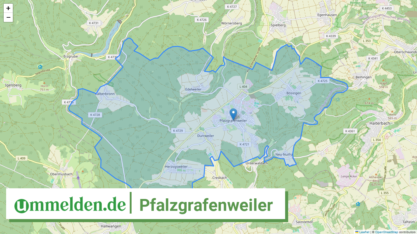 082375005054 Pfalzgrafenweiler