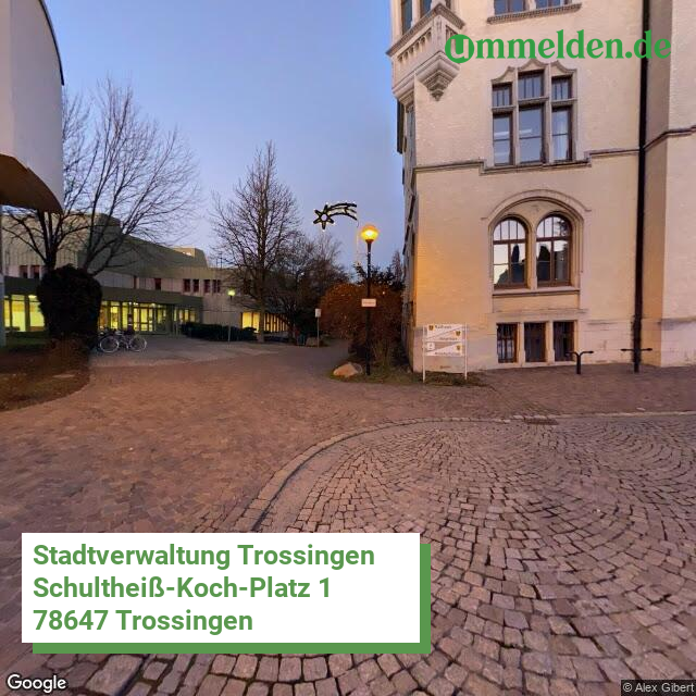 083275005049 streetview amt Trossingen Stadt