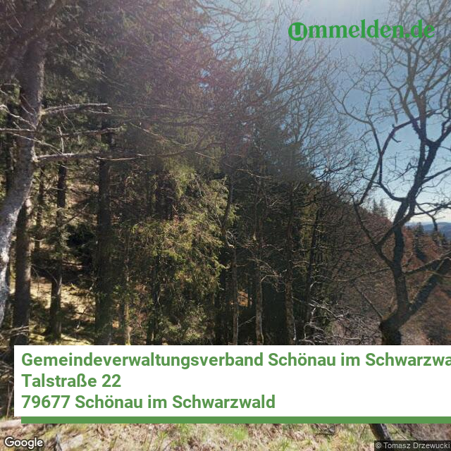 083365006 streetview amt Gemeindeverwaltungsverband Schoenau im Schwarzwald