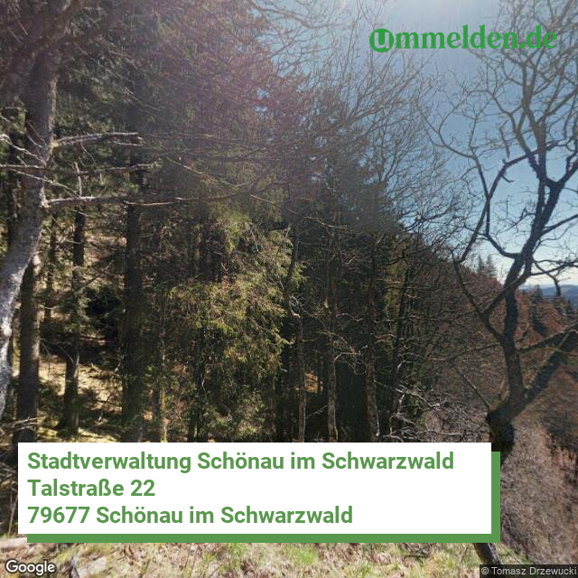 083365006079 streetview amt Schoenau im Schwarzwald Stadt