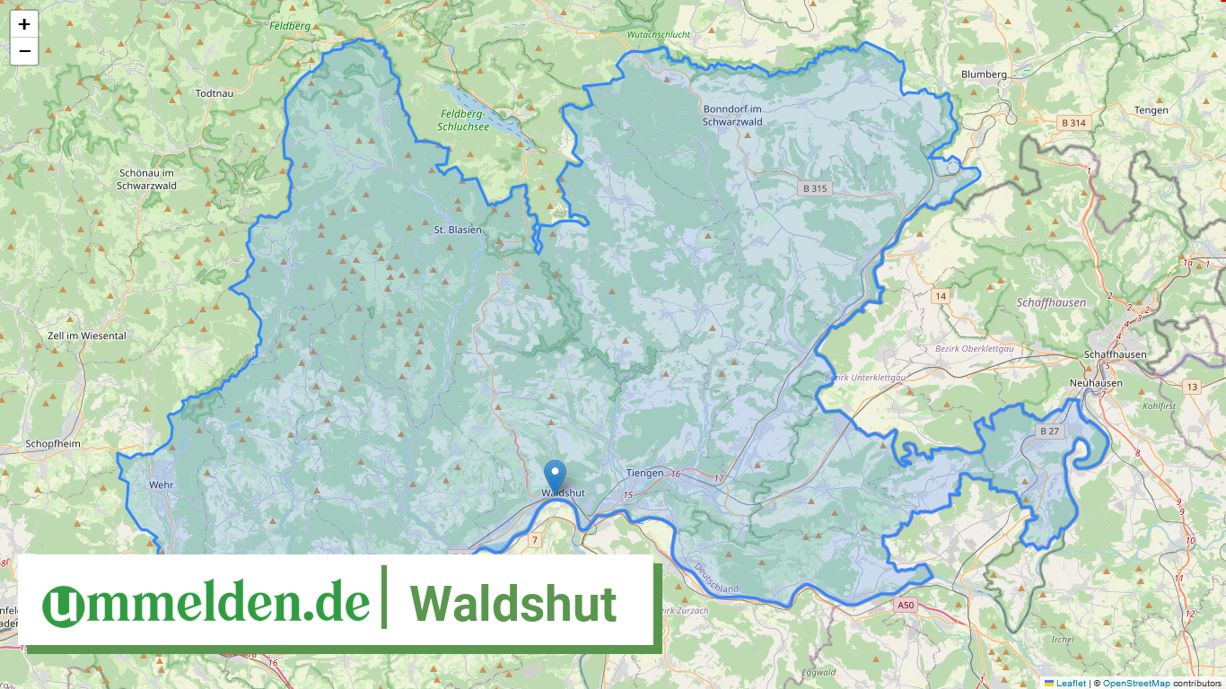 08337 Waldshut
