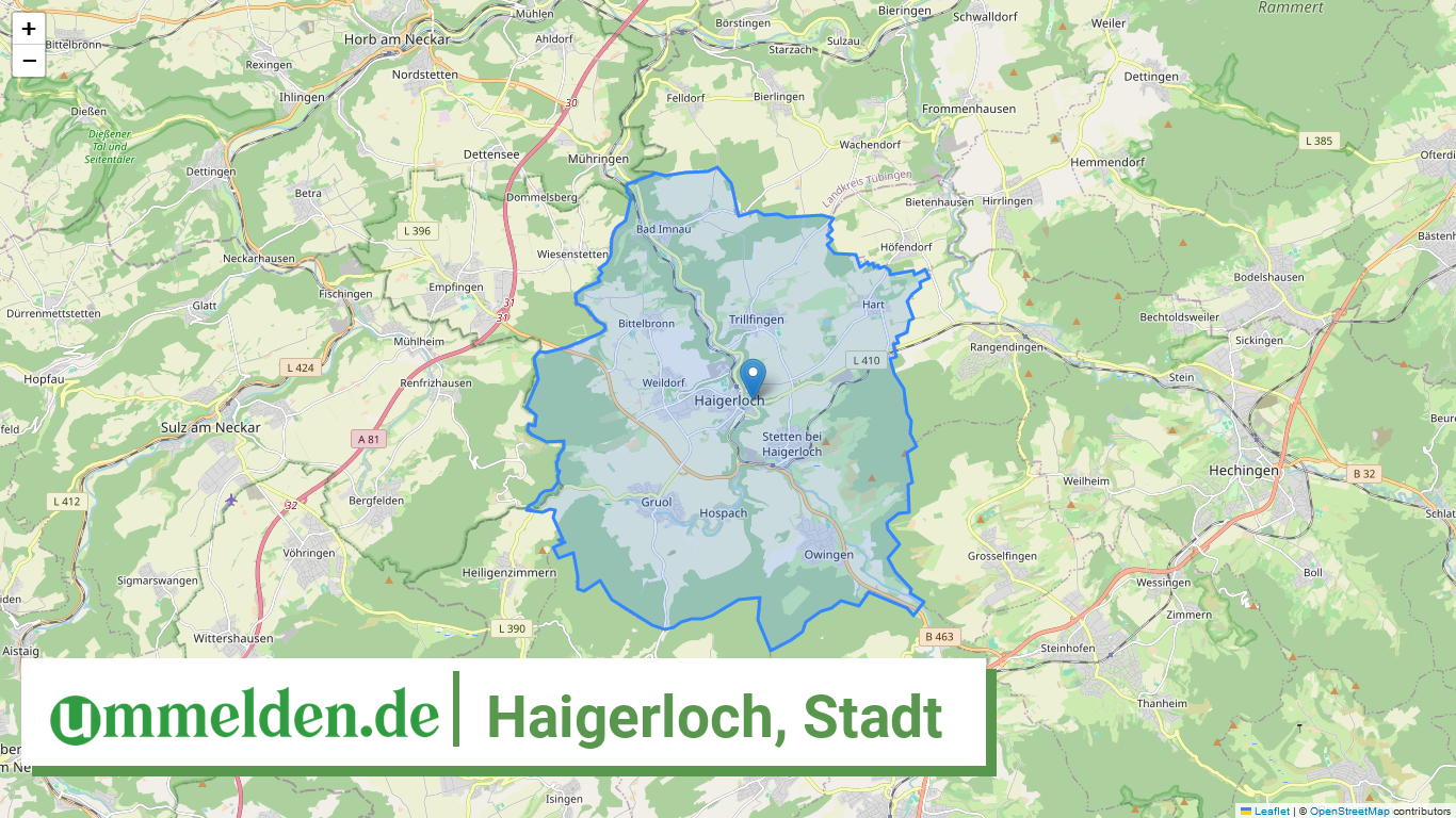 084170025025 Haigerloch Stadt