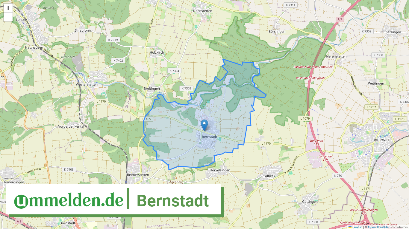 084255008019 Bernstadt