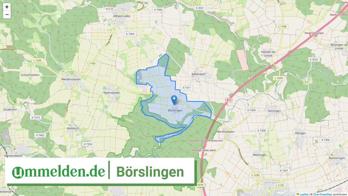 084255008022 Boerslingen