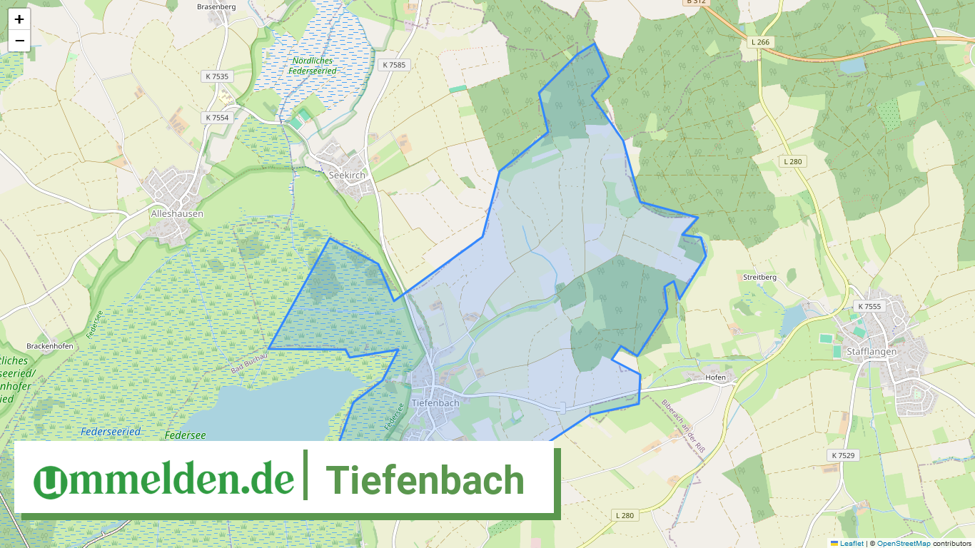 084265001118 Tiefenbach