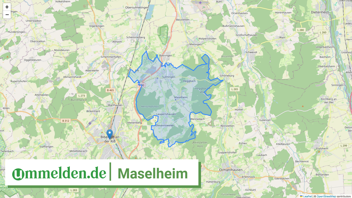 084265003071 Maselheim