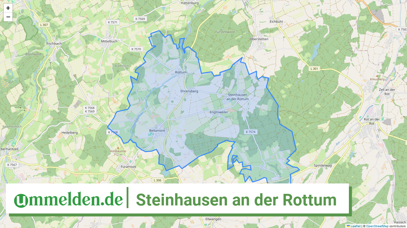 084265006113 Steinhausen an der Rottum