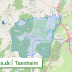 084265008117 Tannheim