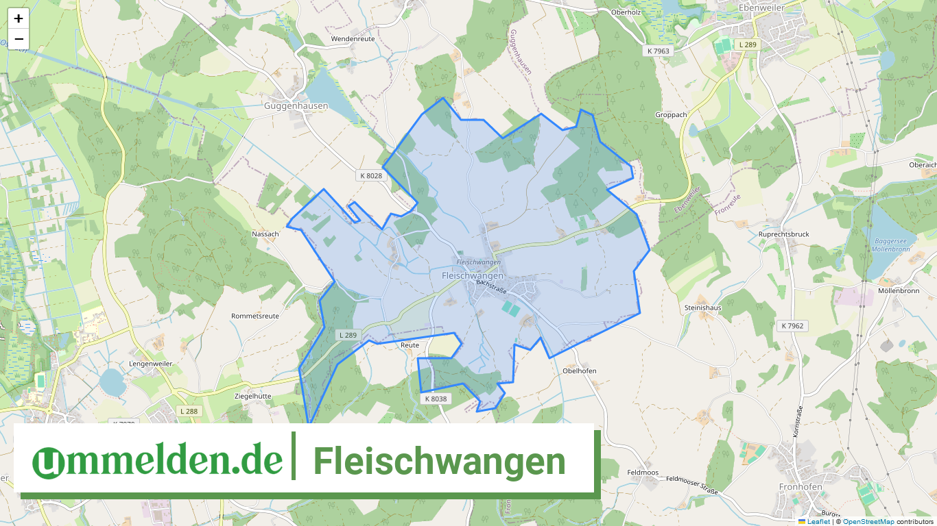 084365001032 Fleischwangen