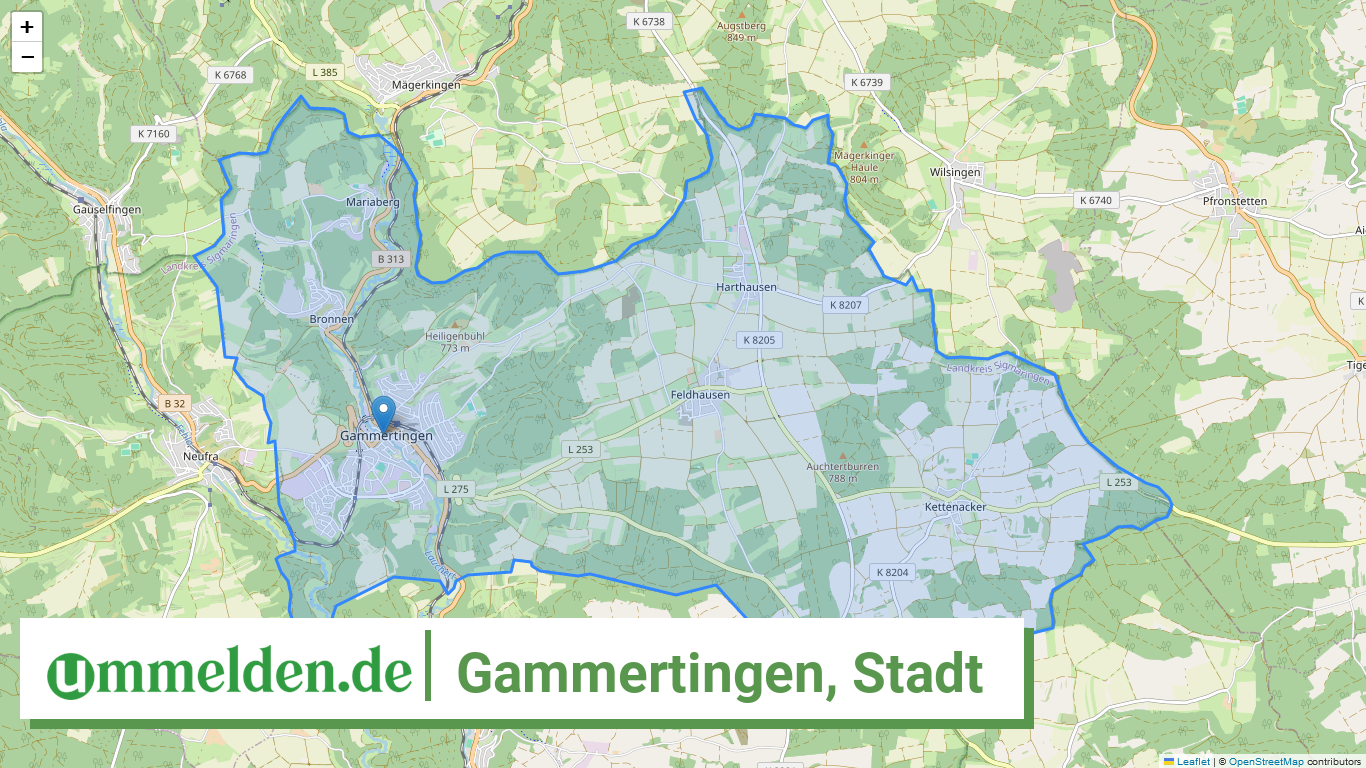 084375001031 Gammertingen Stadt