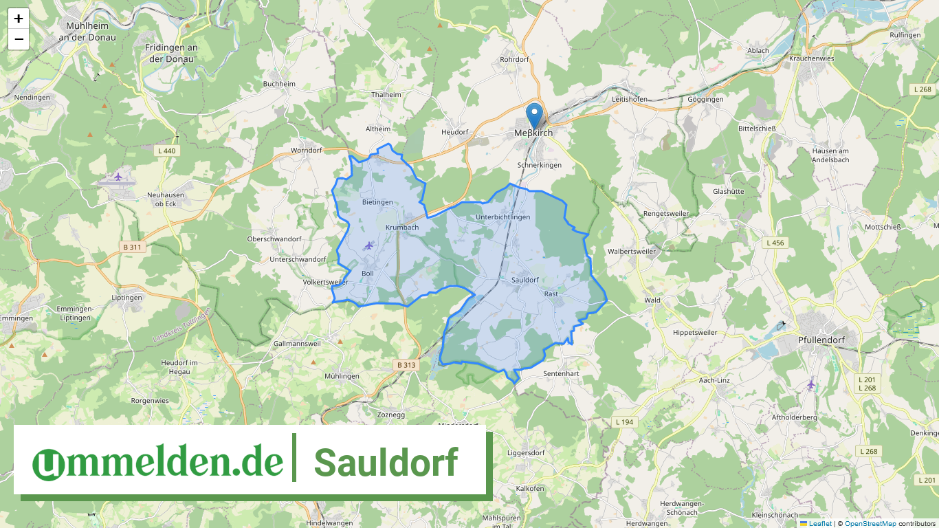 084375003123 Sauldorf