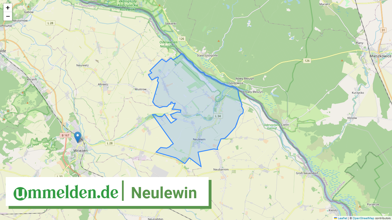 120645414349 Neulewin