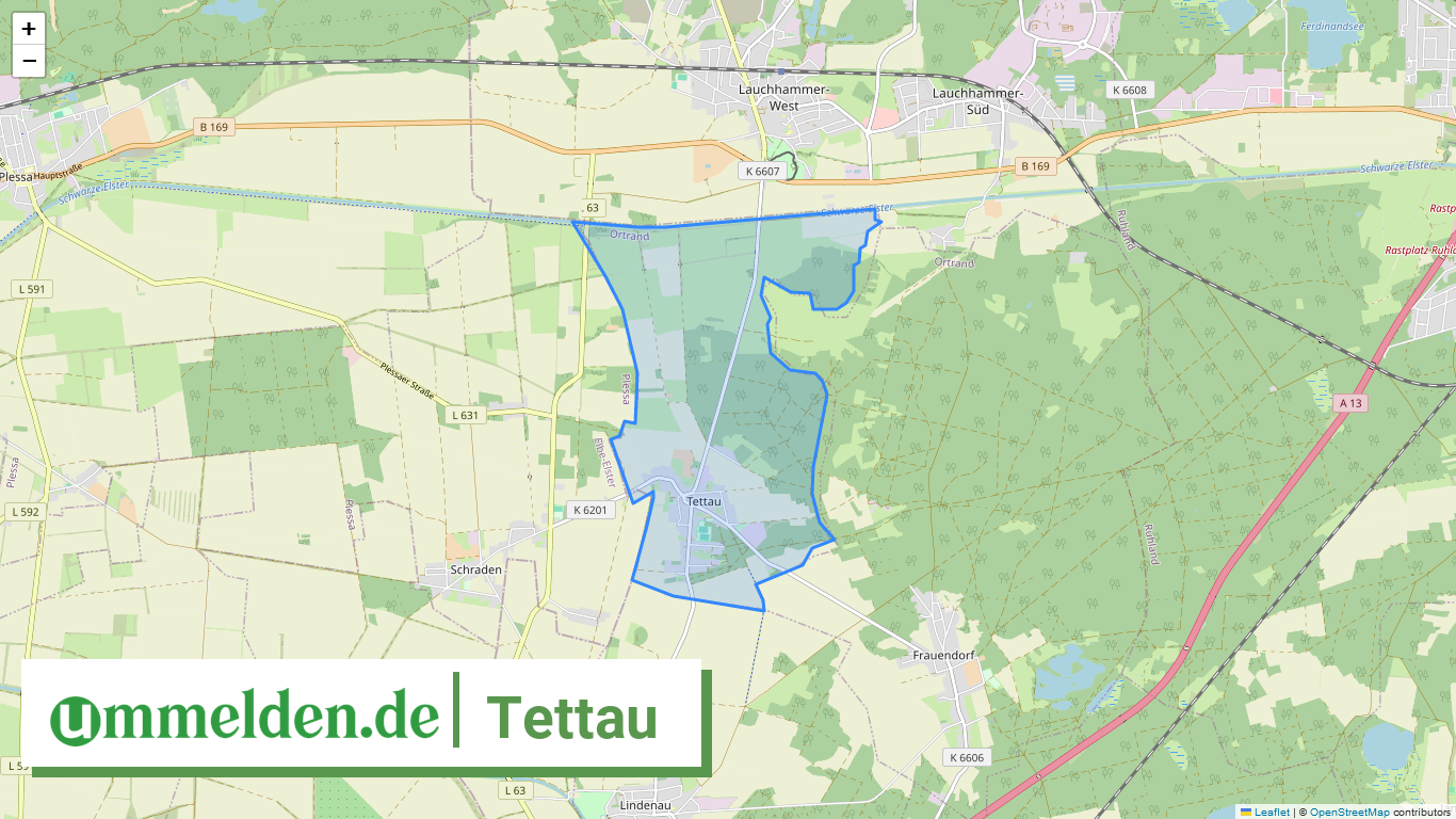 120665606316 Tettau