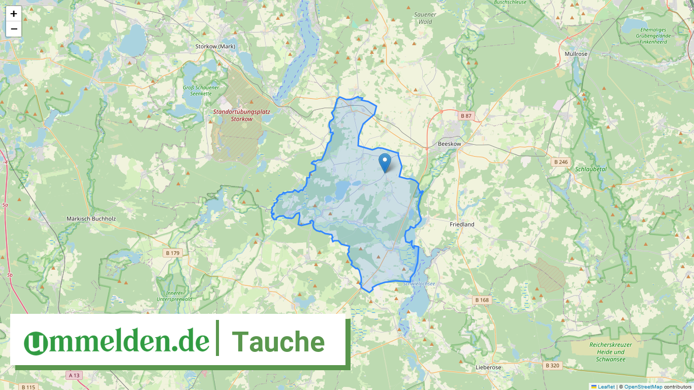 120670493493 Tauche