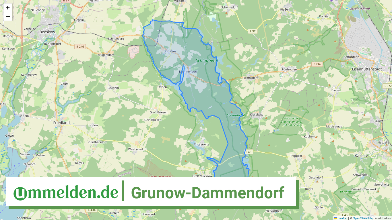 120675708205 Grunow Dammendorf