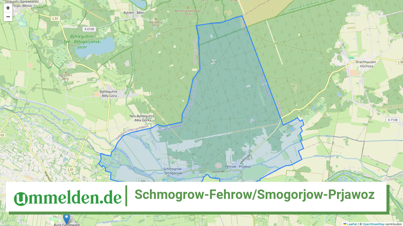 120715101341 Schmogrow Fehrow Smogorjow Prjawoz