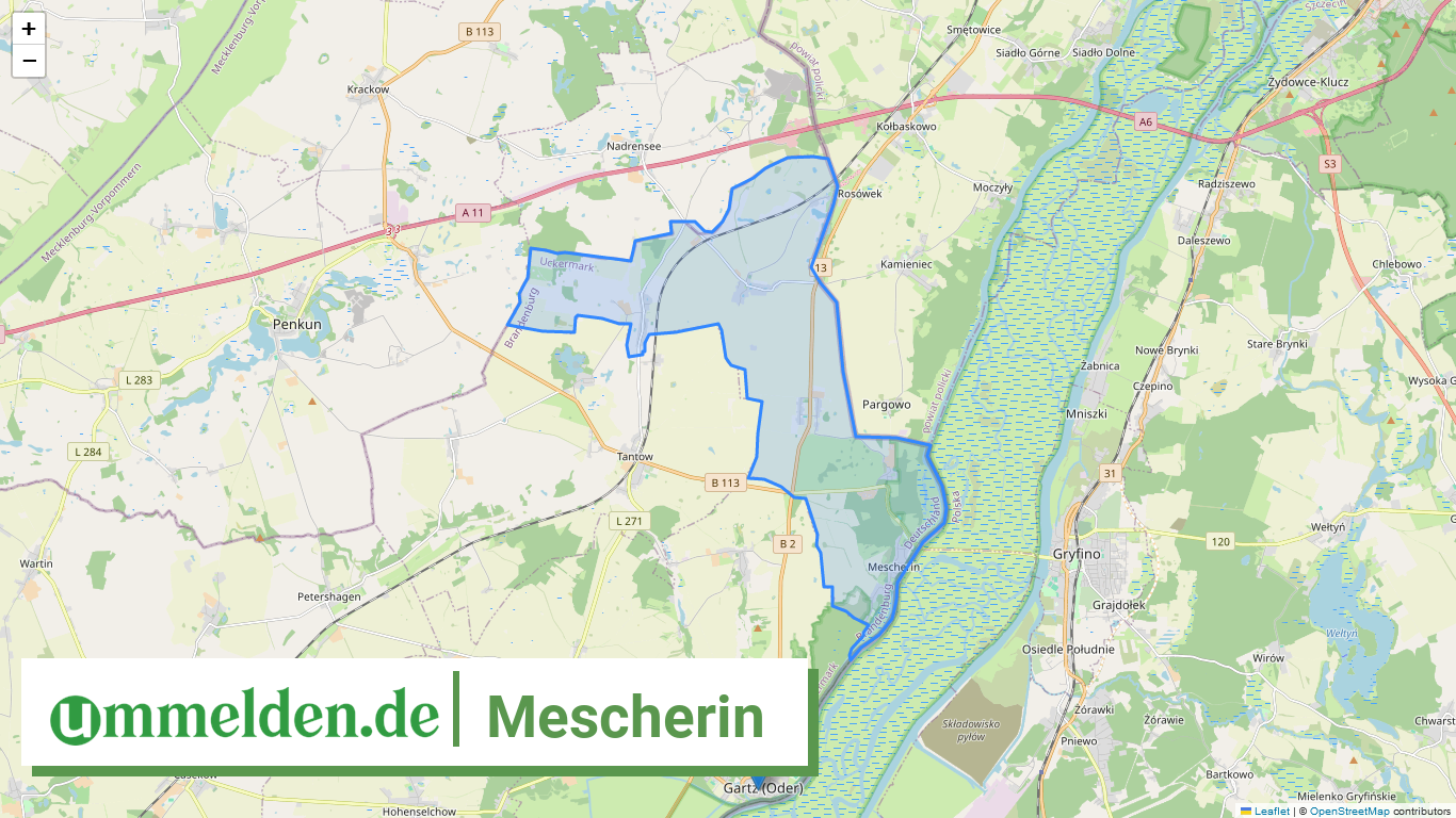 120735304393 Mescherin