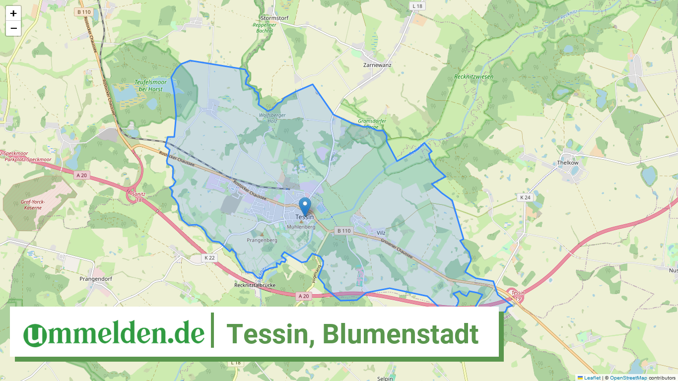 130725262105 Tessin Blumenstadt