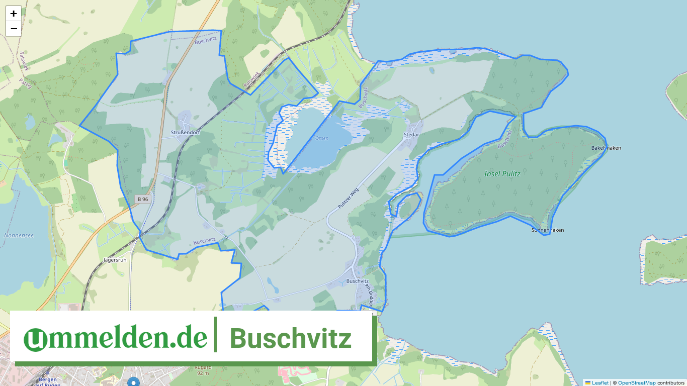 130735353014 Buschvitz