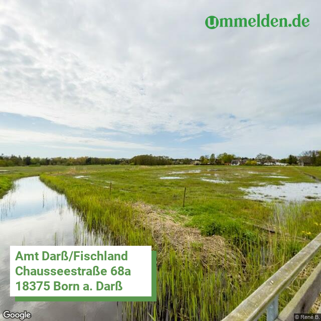 130735354 streetview amt Amt Darss Fischland