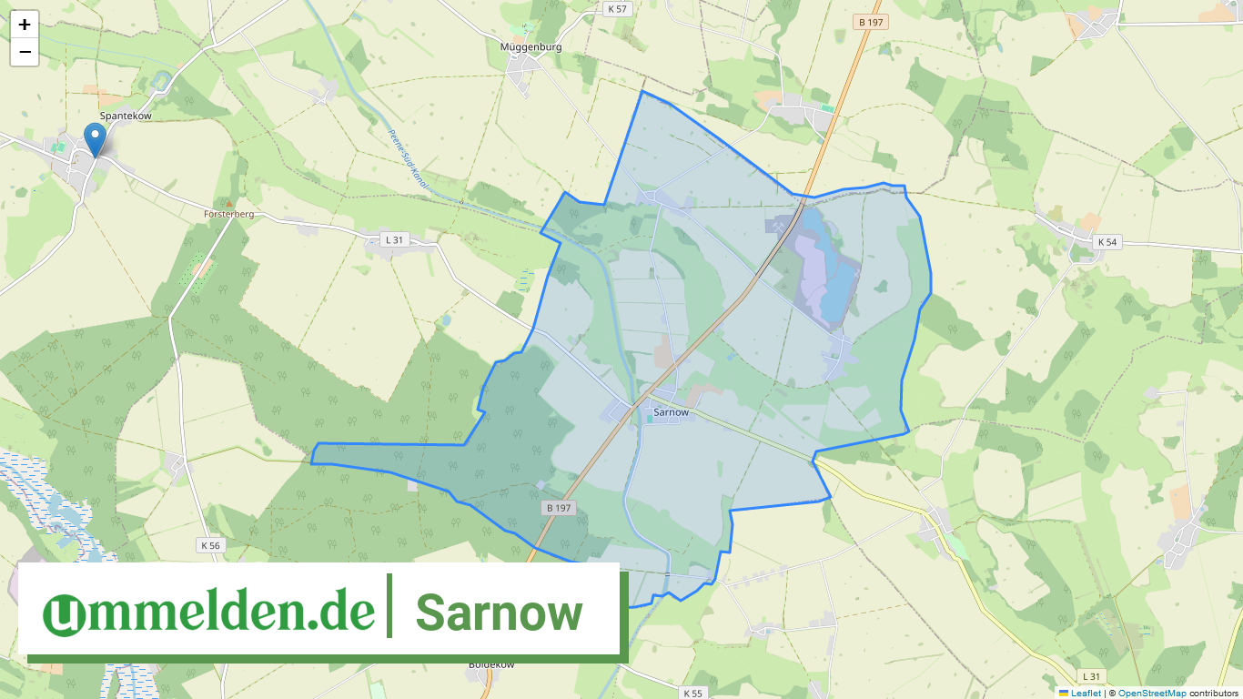 130755553122 Sarnow