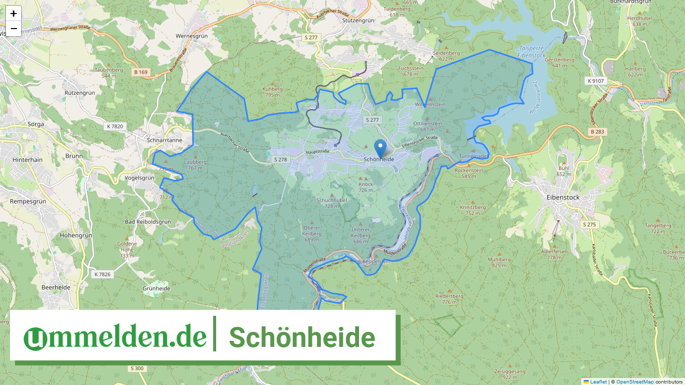 145210540540 Schoenheide