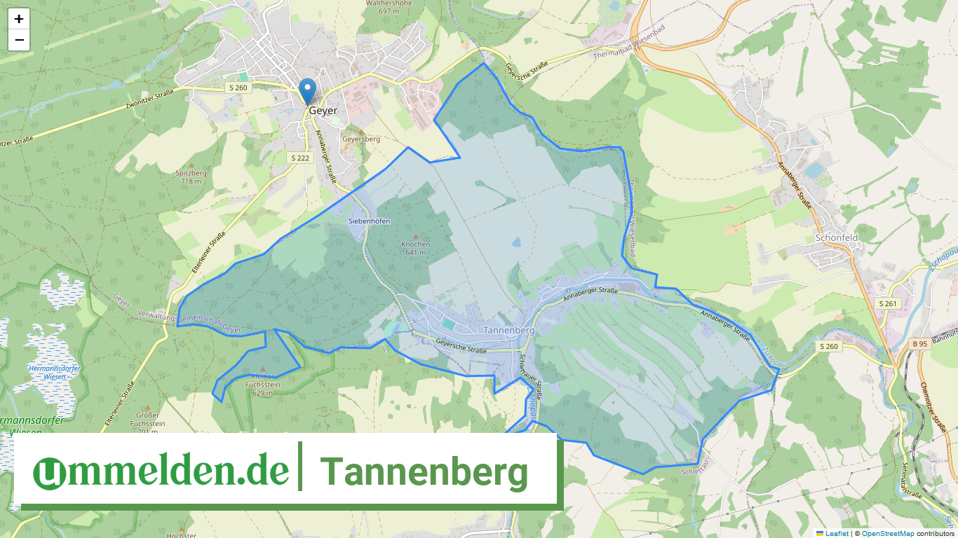 145215110610 Tannenberg