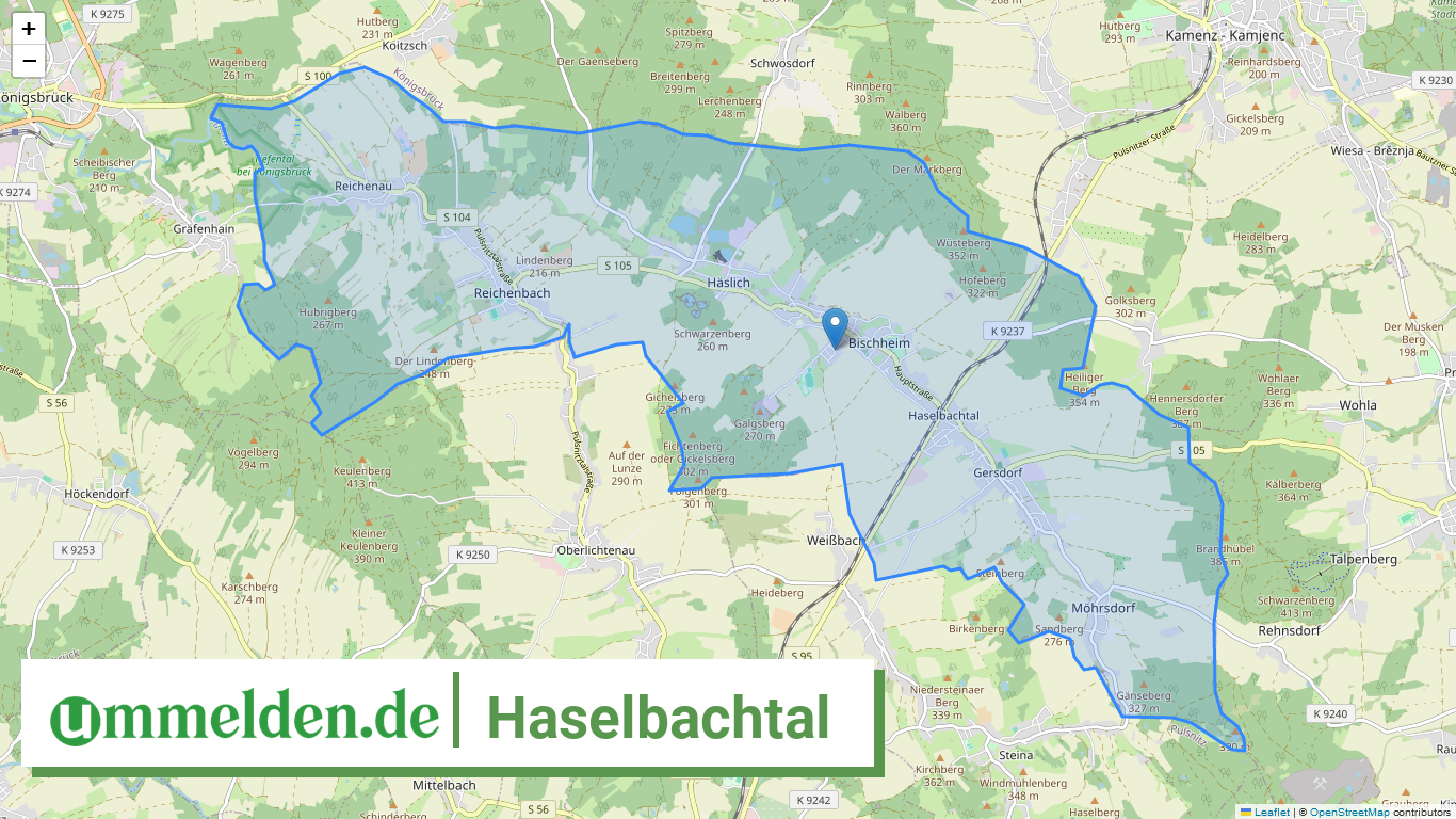 146250220220 Haselbachtal