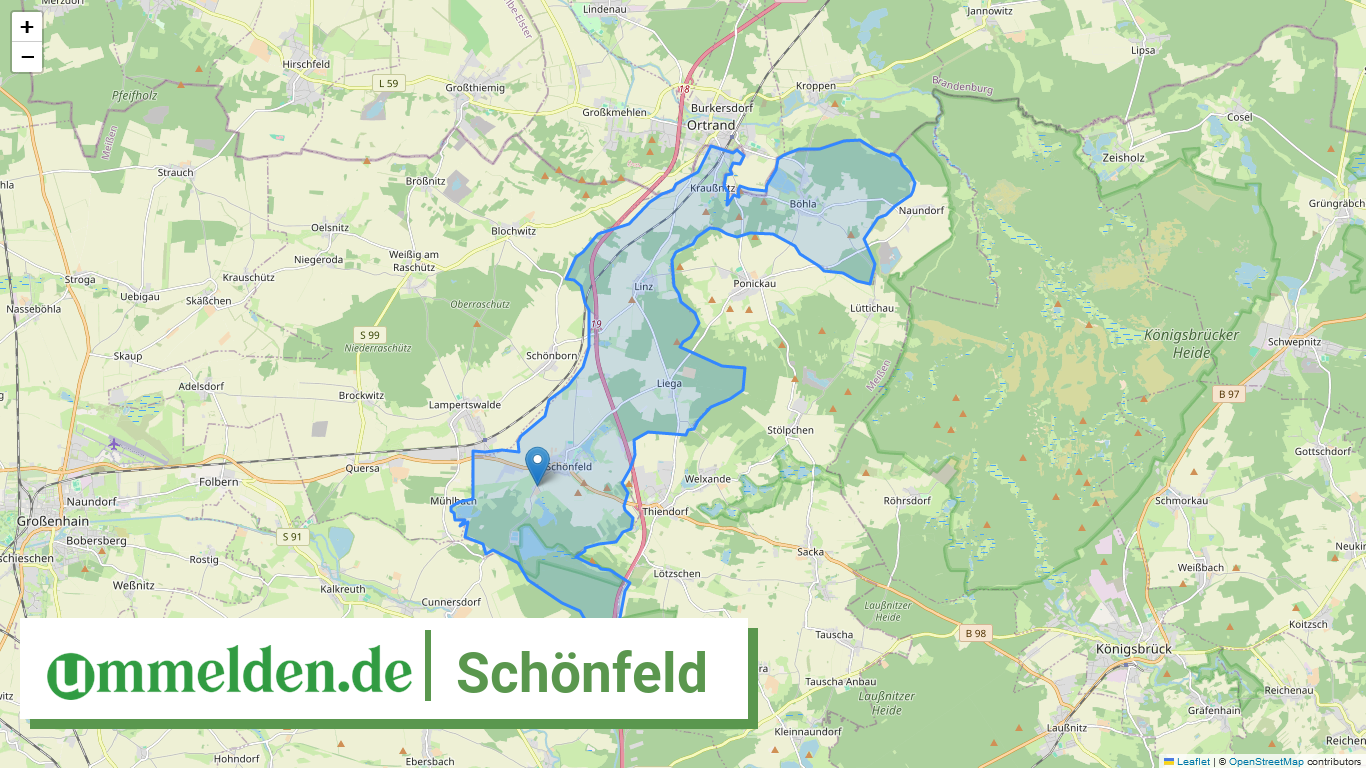 146275238250 Schoenfeld