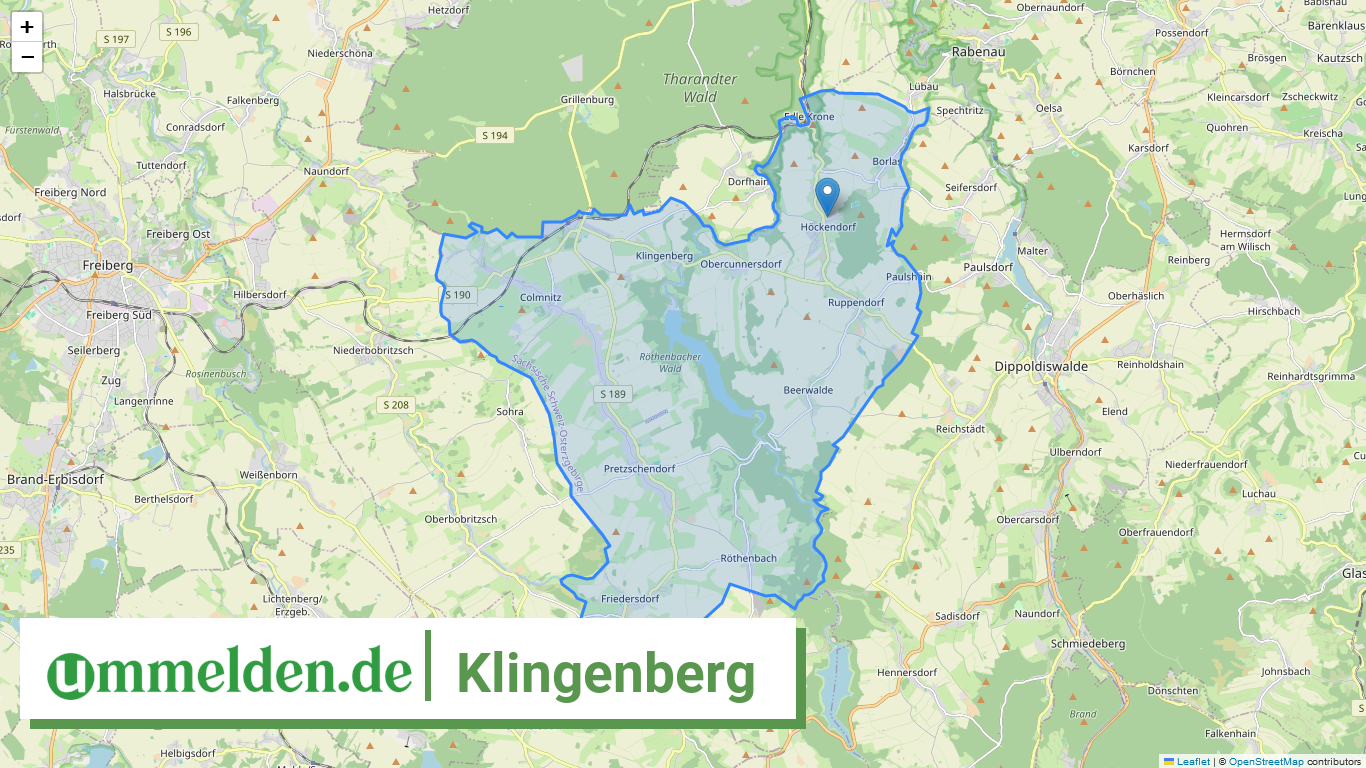 146285230205 Klingenberg