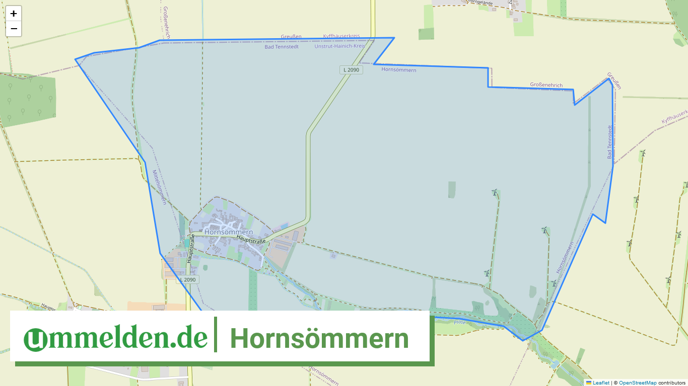 160645001027 Hornsoemmern