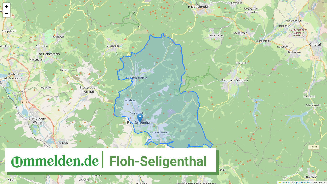 160660023023 Floh Seligenthal