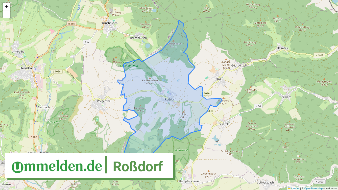 160665051061 Rossdorf