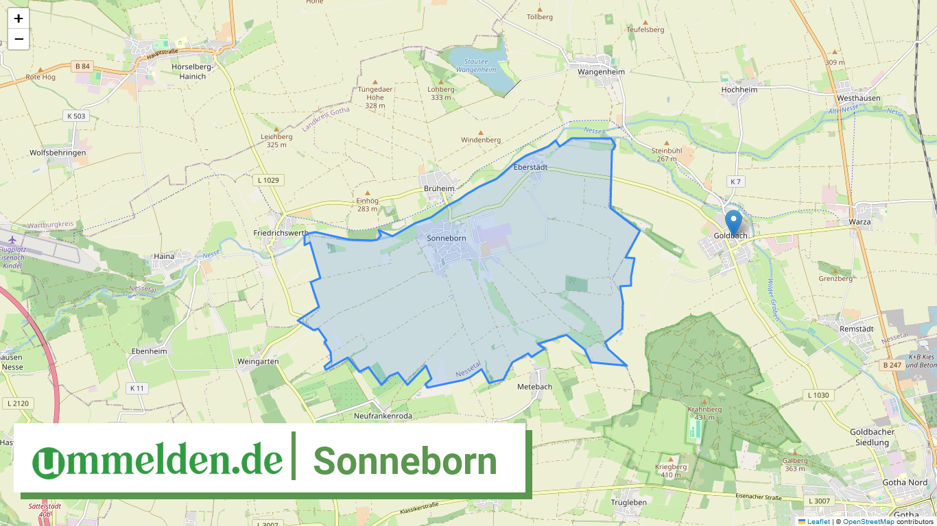 160675053063 Sonneborn