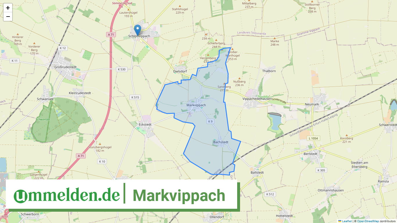 160685012036 Markvippach